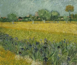 Feld mit Schwertlilien in der Nähe von Arles