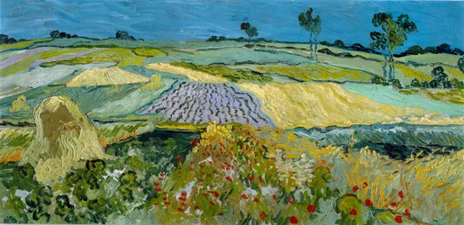 Felder bei Auvers