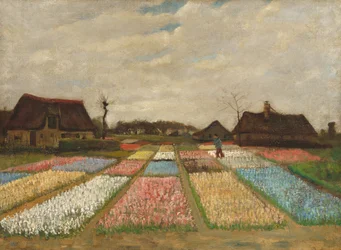 Blumenbeete in Holland