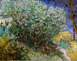 Der Fliederbusch. Vincent VAN GOGH (1853-1890)