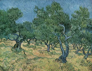 Olivenhain