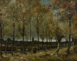 Pappeln bei Nuenen