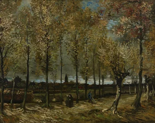 Pappeln bei Nuenen