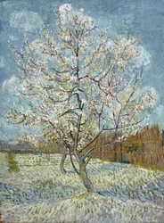 Der rosa Pfirsichbaum