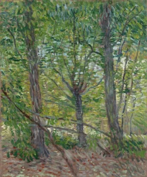 Bäume
