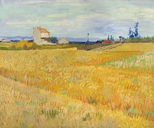 Weizenfeld (Champs de blé)