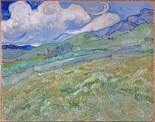 Weizenfeld und Berge