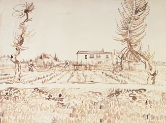 Arbeit auf den Feldern in Arles