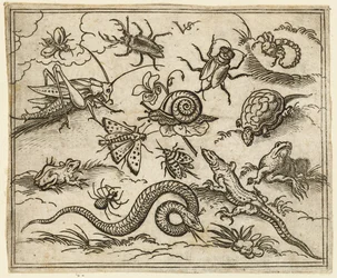 Gruppe von Insekten und Reptilien auf schlichtem Boden mit Felsen, einschließlich einer Leguan, einer Eidechse..., 1557