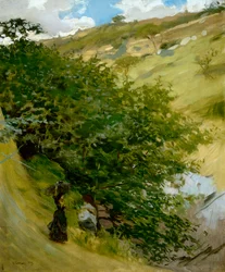 Holzstapel in der Landschaft