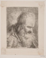 Bärtiger Greis, Brustbild