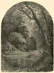 Moosinseln in der Juniata, 1874