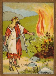 Moses und der brennende Busch