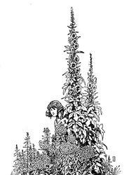 Gerda kannte jede Blume im Garten, um 1930