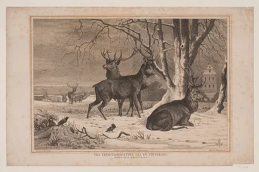 Von der Eremitage-Ebene an einem Wintertag