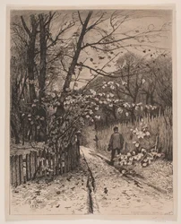 November