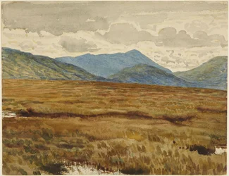 Aros Moor, Isle of Mull