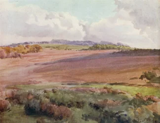 Der New Forest: Über Malwood Walk von der Straße nach Fritham
