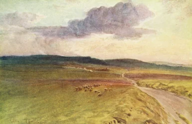 Wessex: In der Nähe von Maiden Castle, Dorchester