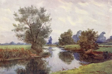 Wessex: Am Stour