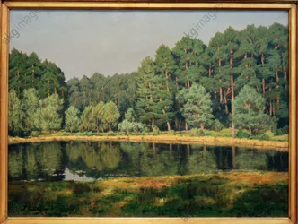 Waldlandschaft mit einem märkischen See