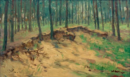 Waldstück mit Sandgrube