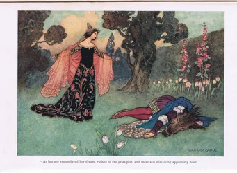 Endlich erinnerte sie sich an ihren Traum, eilte zur Rasenfläche und sah ihn dort scheinbar tot liegen, Illustration aus „Hutchinson