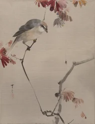 Vogel auf einem Ast beobachtet eine Spinne, ca. 1887