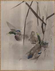 Enten im Schilf (ca. 1887)
