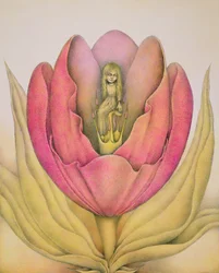 Die Tulpe platzt mit einem Knall auf