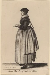 Ancilla Argentinensis