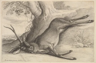 Toter Hirsch, 1646