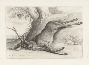Erschossenes Reh (Serie: Jacht, jachthonden en wild)