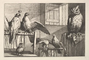 Falken und Eulen