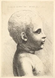 Kopf und Schulter eines Kindes, im Profil nach rechts, 1645