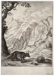 Der Fuchs und das Stachelschwein (Zustand 2)
