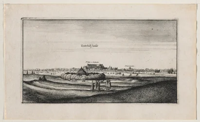 Tothill Fields