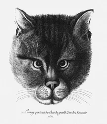 Wahres Bild der Katze des Zaren Alexei I. Michailowitsch von Russland