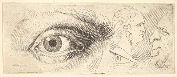 Zwei Augen und zwei Köpfe