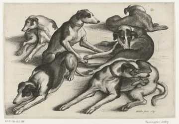 Sechs liegende Jagdhunde