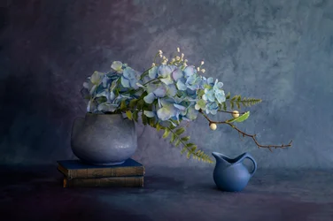Elegantes Blaues Hortensien-Stillleben