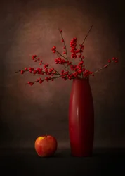 Rote Beeren Stillleben