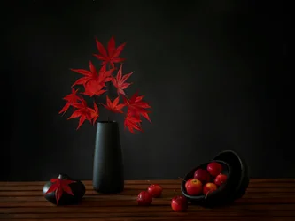 Roter Ahorn Stillleben