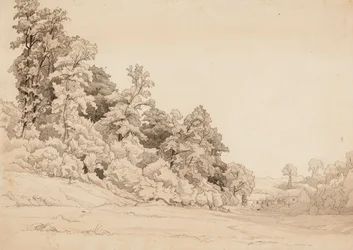 Landschaft, Hügelhang