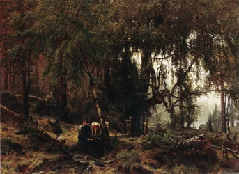 Metsä sadeilmalla