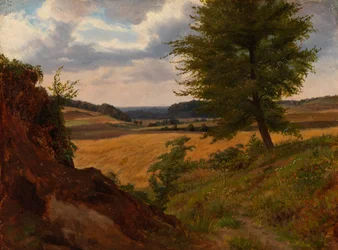 Baum in einer Feldlandschaft, Studie