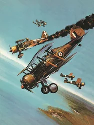 Berühmte Flugzeuge und ihre Piloten: Der Gloster Gladiator -- Staffelkapitän Pattle