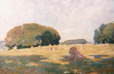 Heuhaufen auf einem Feld