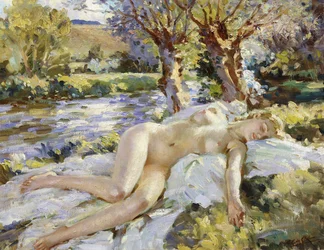 Sommer am Avon