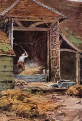 Old Abe, Dreschen